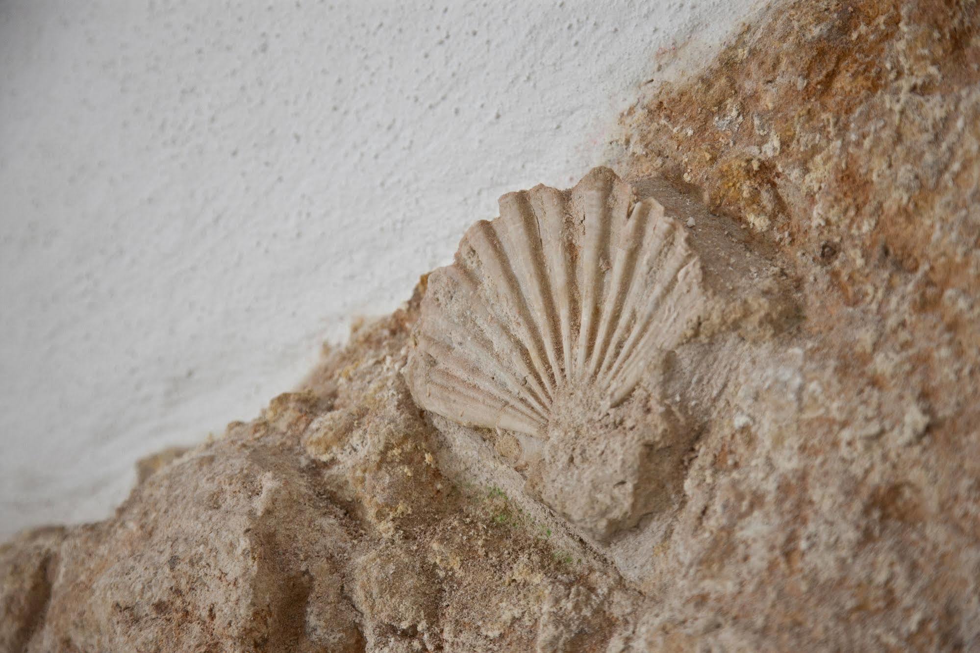 Grottammare Apartment Polignano a Mare Exterior foto